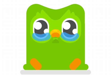 Duolingo Logo 10 Free Cliparts Download Images On Clipground 2021