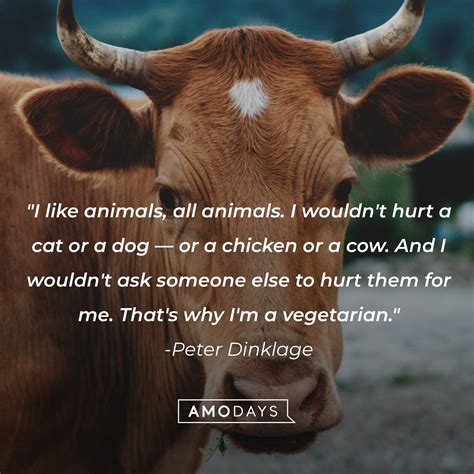 41 Cow Quotes To Make You Laugh Learn And Think