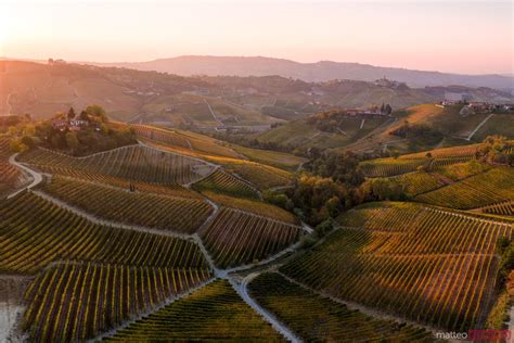 Aerial View Over Le Langhe Vineyards Piedmont Italy Royalty Free