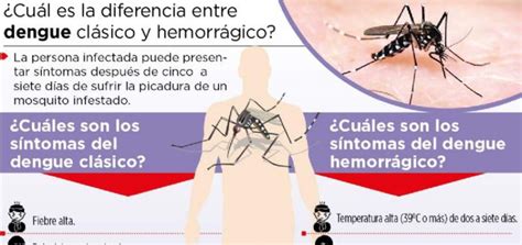 En Que Se Diferencia El Dengue Clasico Del Hemorragico Esta Diferencia