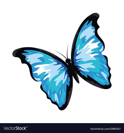 Beautiful Butterfly Cartoon Royalty Free Vector Image