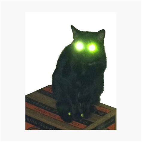 Black Cat With Glowing Eyes Your Cat Is 100 Charged Photographic
