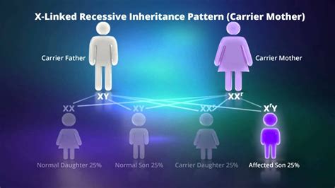 Can a recessive trait be on the y chromosome recessive traits may skip generations and will affect both genders equally. What is X-linked Recessive Inheritance? - YouTube