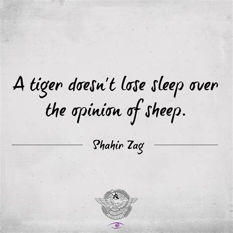 a tiger doesn t lose sleep over the opinion of sheep motivation quote inspiration graphic