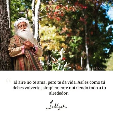 1,463 Me gusta, 12 comentarios - Sadhguru Español