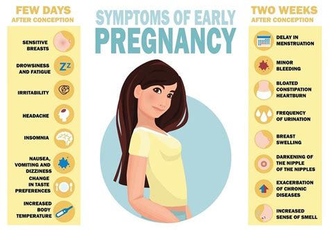 First Signs Of Pregnancy Gesundheit