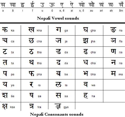 Nepali Phrases Learn Basic Nepali Language Before Visiting Nepal