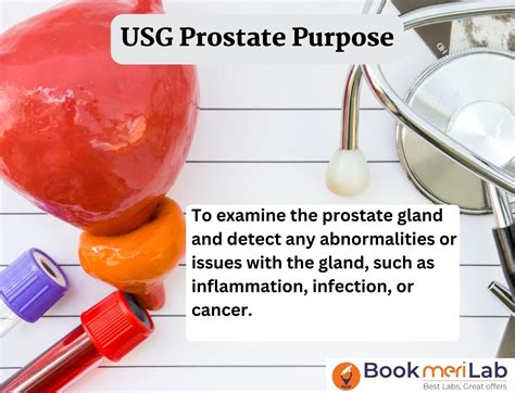 Usg Prostate Price Purpose Preparation And Results 2023
