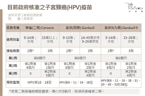 捐贈之餘 台灣為什麼不學學歐美日韓超量採購？ 陳時中：國產疫苗獲得國際認證 有風險 高端稱三期採「免疫橋接」方式進行 陳建仁親自背書 好心肝新說明：以為北市醫護打差不多 醫院志工都有打 嬌生、bnt. 2價子宮頸HPV疫苗保護力差、自費9價較好？台大感染權威的建議是... | 信傳媒