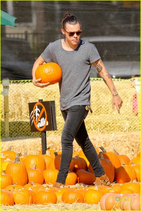 It is cultivated for its large pulpy round orange fruit with firm orange skin, and numerous seeds. Harry Styles Goes Pumpkin Picking with Erin Foster ...