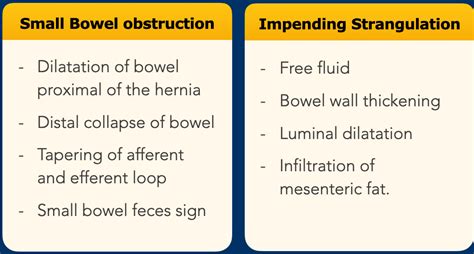 The Radiology Assistant Abdominal Wall Hernias