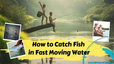 How To Catch Fish In Fast Moving Water Fishing Tips And Techniques