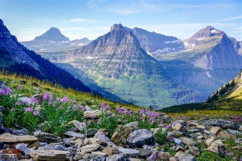 Ready To Make Your Trip To Glacier National Park Unforgettable This