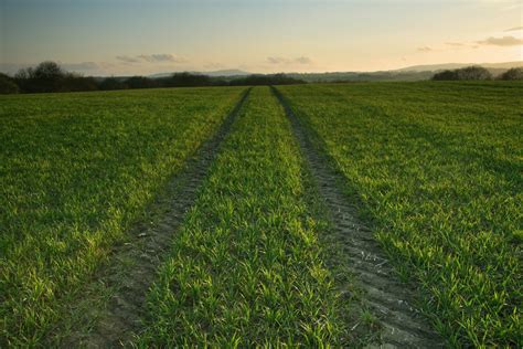 Fields Of Grass Free Photo Download Freeimages