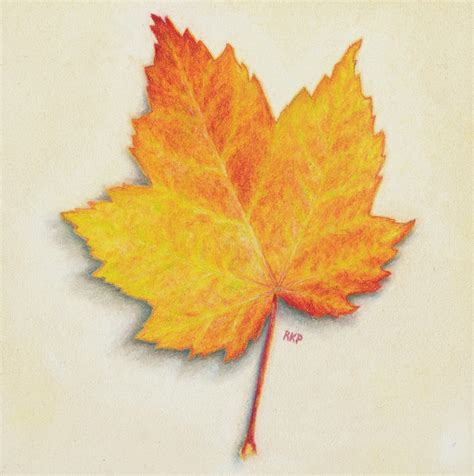 Original Art Colored Pencil Drawing Of A Maple Leaf Etsy
