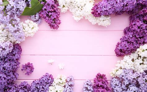 Wonderful Photo Frame Made Of Beautiful Spring Lilac Flowers
