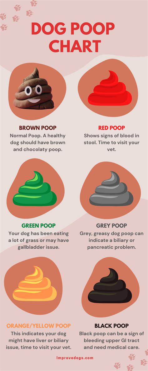 What Causes Black Poop In Dogs
