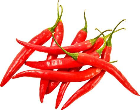 free chili pepper images download free chili pepper images png images free cliparts on clipart