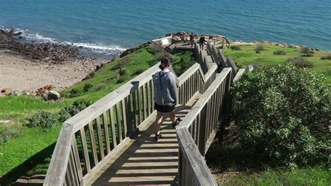Treating cats and dogs, great and small, is the essence of our work. Australia Travel - Hallett cove conservation park - YouTube