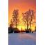 Finland  Beautiful Winter Pictures Landscapes