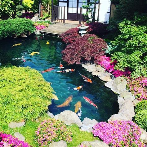 Pin By Varat Mingkhuan On Koi Box Japanese Garden Landscape Pond