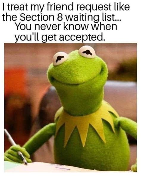Funny Kermit Memes Clean Perpustakaan Sekolah