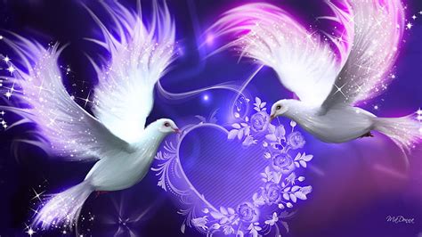 Hd Wallpaper Birds Bright Valentine Purple Doves Animals Birds Hd Art