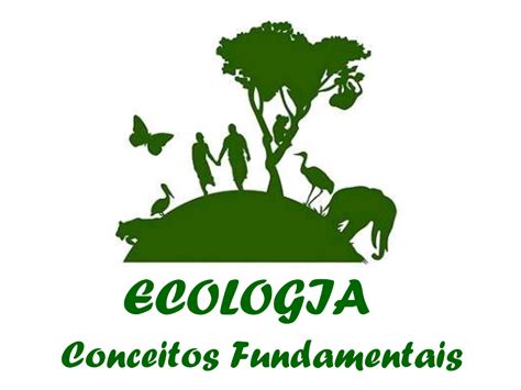 Ecologia Conceitos Fundamentais Escola Educação