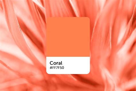 What Color Is Coral Its Meaning How To Work With It And Related