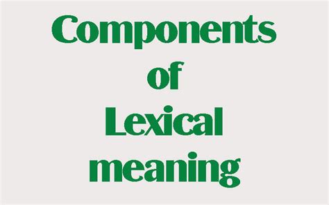 The Components Of Lexical Meaning