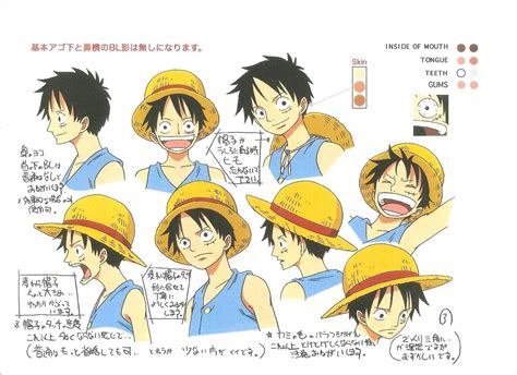Luffy Sheet Character Model Sheet One Piece Anime One Piece Drawing