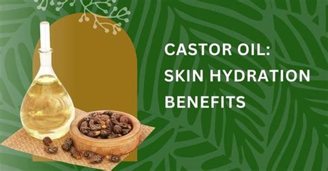 The Benefits Of Using Castor Oil For Skin Hydration