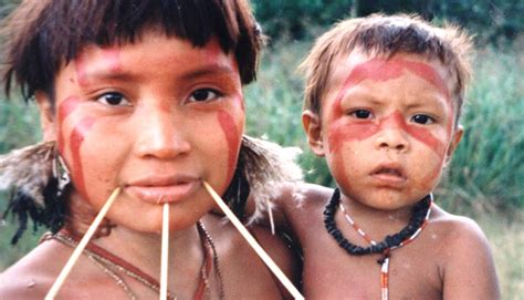 Yanomami Tribe The Yanomami Rainforest People Amazon Rainforest