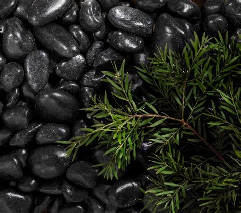 Artisan Exterior Black Polished Stone Pebbles For Pots And Garden