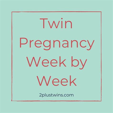 Pin On Twins Pregnancy Week By Week