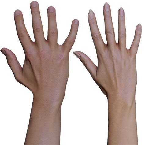 Women Hand Comparison
