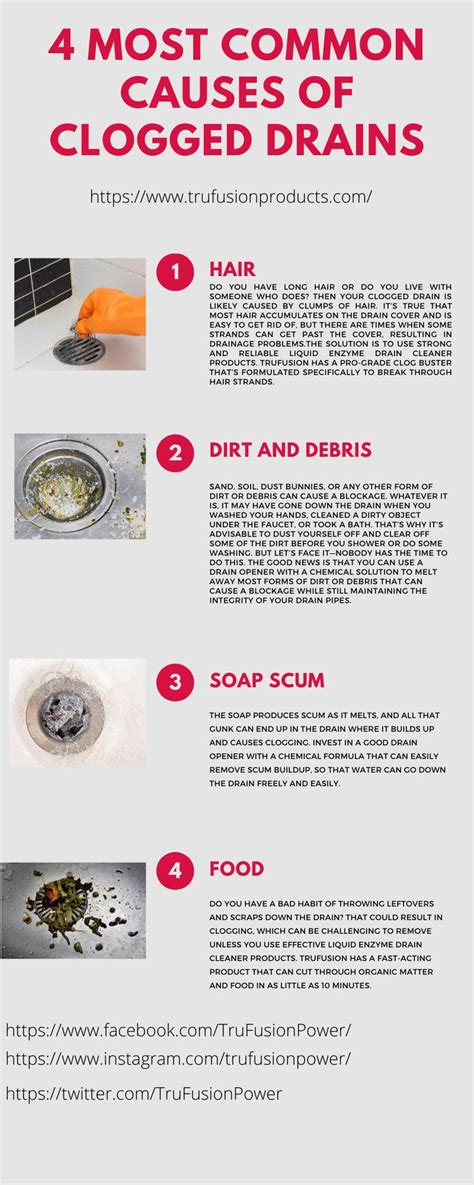 The Four Most Common Cause Of Clogged Drains Infographical Poster