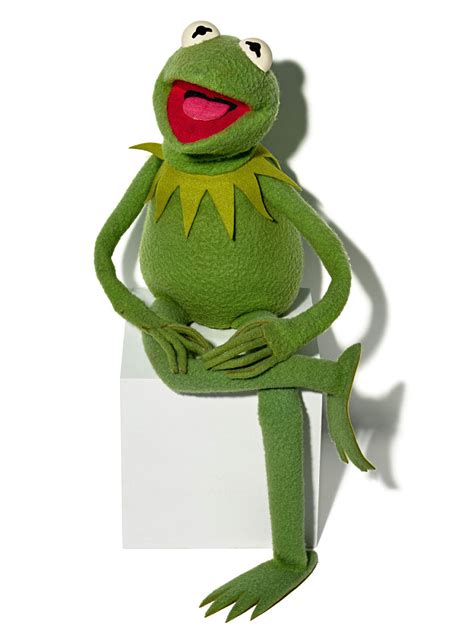 Kermit The Frog Puppet National Museum Of American History