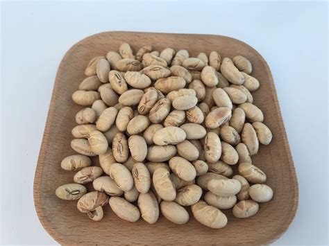 Perlu diingat bahwa diet ini berbeda dengan diet rendah makanan dan minuman yang dianjurkan. Rendah Lemak Kacang Kacang Kacang Hijau Organik ...