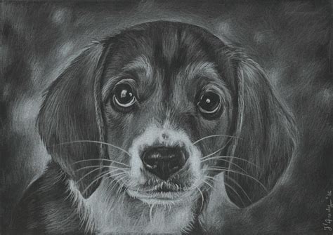 Puppy Pencils Drawing