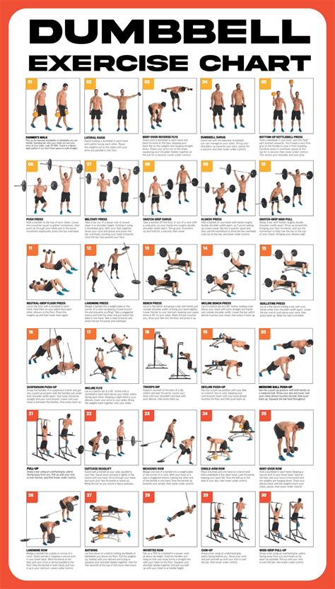 Workout Poster Dumbbell Exercise Poster Laminated Free Weight Strength Training Chart Fitness