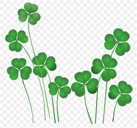 Saint Patricks Day Shamrock Leprechaun Irish People Clip Art Png