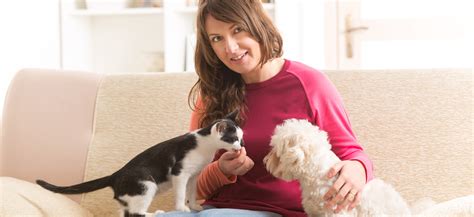 Pet Sitters In Phoenix Arizona Professionally Trained And Certified