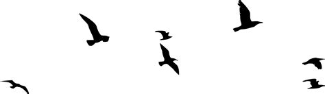 8 Flock Of Birds Silhouette PNG Transparent OnlyGFX Com