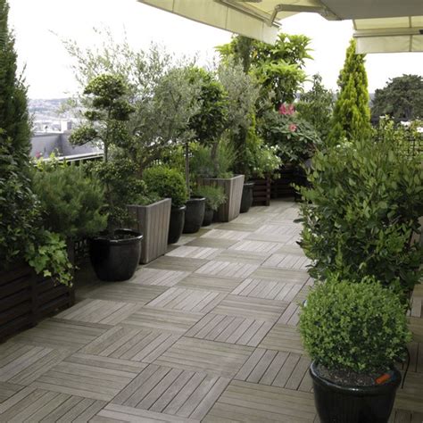 Charme commun pot de 5 litres, hauteur 80/100 cm. Terrasse balcon plantes - Mailleraye.fr jardin