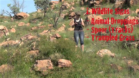 Manufacture of water products,mount aqua/ magaliesberg market research indicated a demand for authentic spring water hence our entry into the market in south africa. TOW How to find natural spring water - YouTube