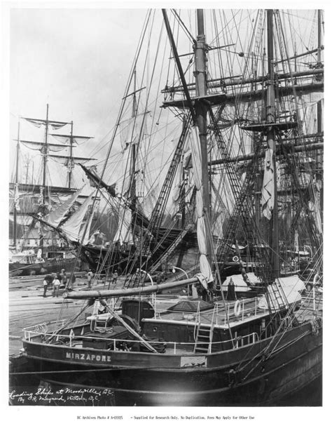 The Sailing Ship Mirzapore Being Loaded At Moodyville In 1888