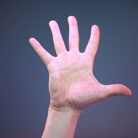 3D model Finger Number 5 VR / AR / low-poly OBJ FBX MA DAE ZTL