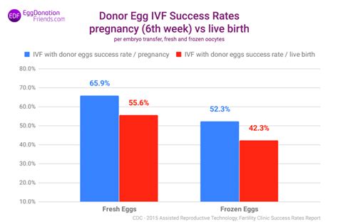 Donor Egg Ivf Success Rates The Truth Clinics Don’t Tell You