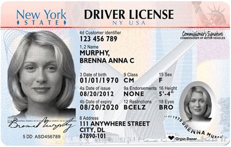 An insurer's contract with its. New York Driver's License Application and Renewal 2020